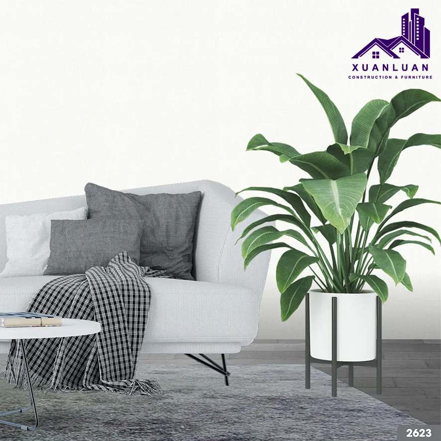 Giấy dán tường Quy Nhơn